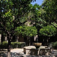 bau_lecturas_en_el_jardín_3